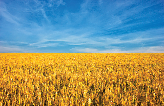 UKRAINE IS EMERGING AS THE WORLD’S NEXT AGRICULTURAL SUPERPOWER